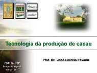 Tecnologia da produção de cacau