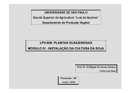 LPV-506 PLANTAS OLEAGINOSAS MÓDULO IV - INSTALAÇÃO DA CULTURA DA SOJA