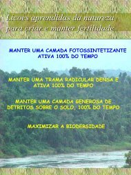 Licoes aprendidas da natureza para criar e manter fertilidade