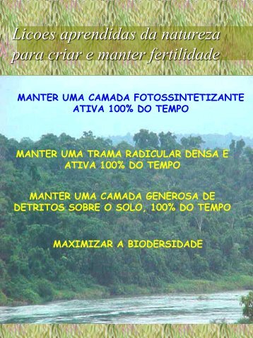 Licoes aprendidas da natureza para criar e manter fertilidade