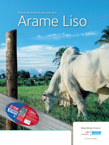 Arame Liso