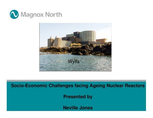 Nuclear power plant lifetime challenges - Social Economical