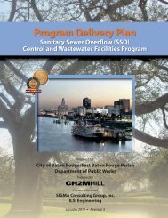 Program Delivery Plan