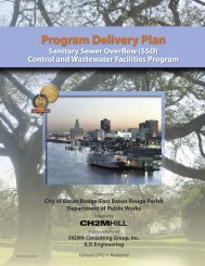 Program Delivery Plan