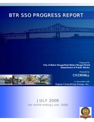 BTR SSO PROGRESS REPORT