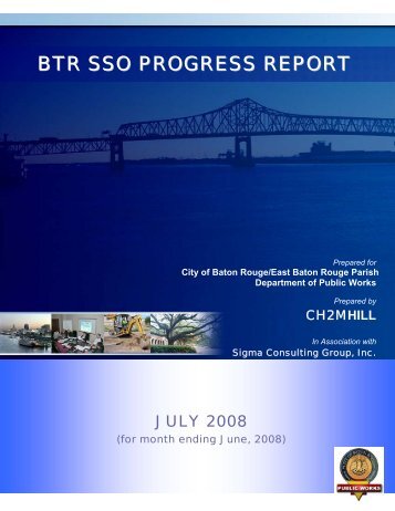 BTR SSO PROGRESS REPORT