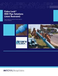 Cobra Lock® HDD Pipe Solutions (Joint Restraint)