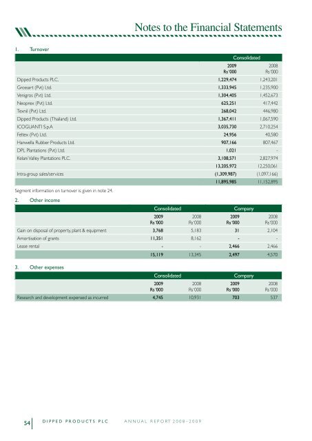 DIPPED PRODUCTS PLC / ANNUAL REPORT 2008—2009