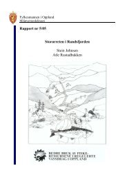 Rapport nr 5/05 Storørreten i Randsfjorden Stein Johnsen Atle Rustadbakken