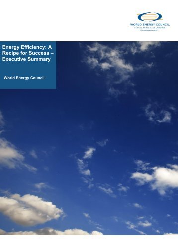Energy Efficiency A Recipe for Success – Executive Summary