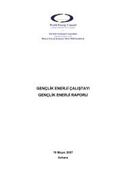 genÃ§lik enerji Ã§alÄ±ÅtayÄ± genÃ§lik enerji raporu - DÃ¼nya Enerji Konseyi ...