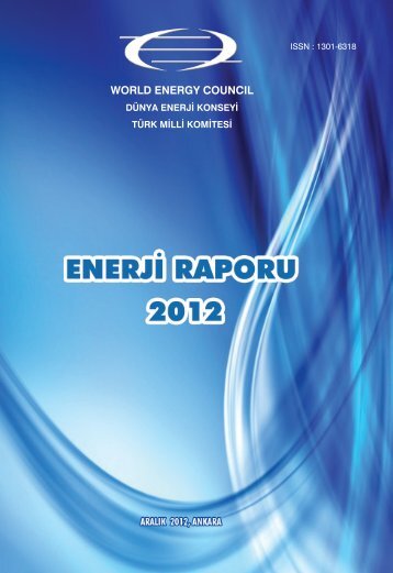 WORLD ENERGY COUNCIL