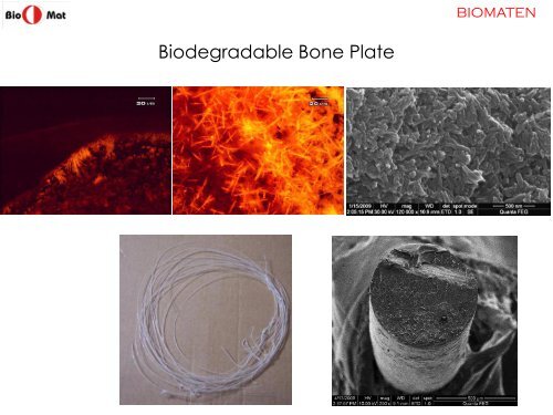 BIOMATERIALS and TISSUE ENGINEERING IN HUMAN HEALTH