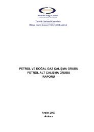 PETROL VE DOĞAL GAZ ÇALIŞMA GRUBU PETROL ALT ÇALIŞMA GRUBU RAPORU