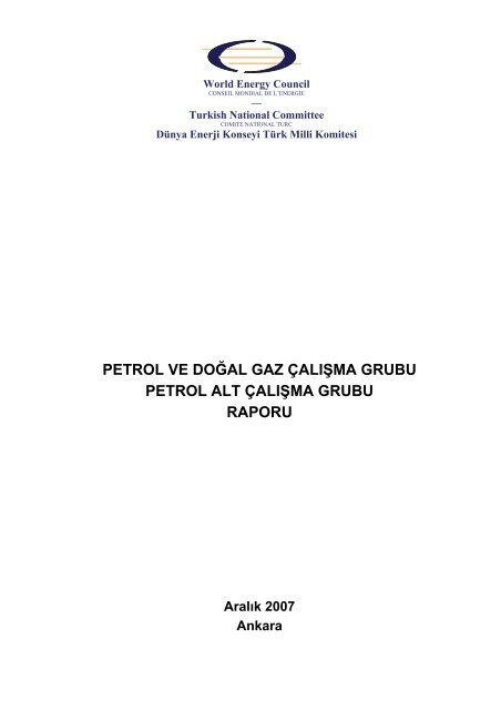 PETROL VE DOĞAL GAZ ÇALIŞMA GRUBU PETROL ALT ÇALIŞMA GRUBU RAPORU