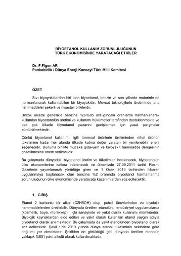 F.Figen AR - DÃ¼nya Enerji Konseyi TÃ¼rk Milli Komitesi