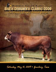 Two Decades of Fleckvieh Genetics - Buzzard Hollow Ranch