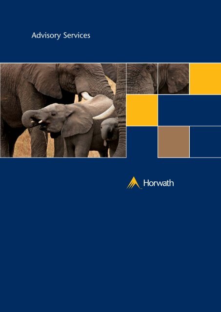 2592 Horwath Brochures - Crowe Horwath International