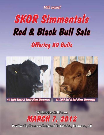 SKOR Simmental Bull Sale - Transcon Livestock Corporation