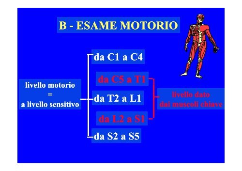 CLASSIFICAZIONE NEUROLOGICA STANDARD NEI TRAUMI MIDOLLARI