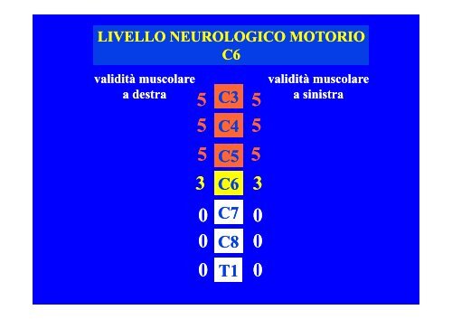 CLASSIFICAZIONE NEUROLOGICA STANDARD NEI TRAUMI MIDOLLARI