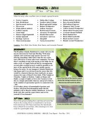 BIRDLIST FOR BRAZIL's Atlantic Rainforest Nov/Dec 2011 - Create