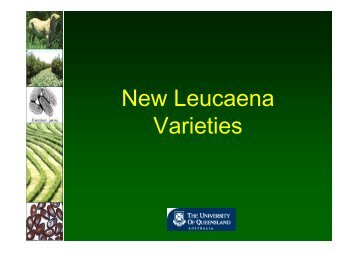 New Leucaena Varieties