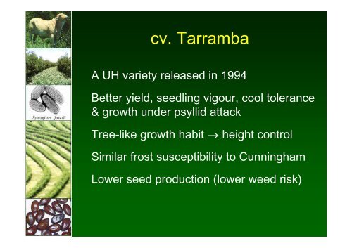 New Leucaena Varieties