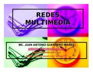 REDES MULTIMEDIA