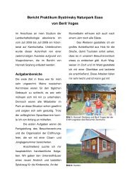 Bericht Praktikum Bystrinsky Naturpark Esso von Berit Voges