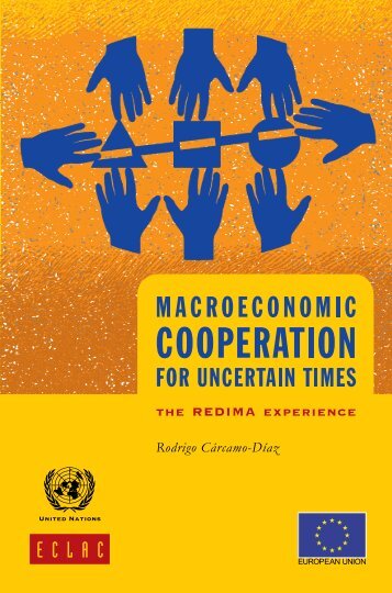 Macroeconomic cooperation for uncertain times: The REDIMA experience