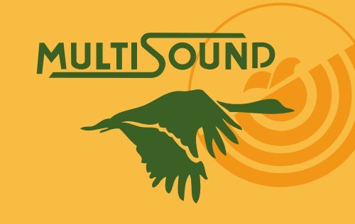 Untitled - Multisound