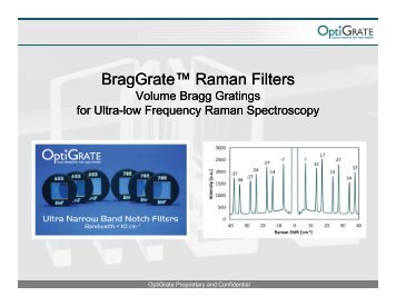 BragGrate Raman Filters