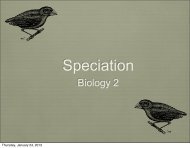 Speciation