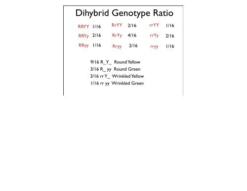 Dihybrid Crosses