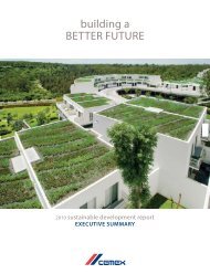 2010 Sustainable Development Report EXECUTIVE ... - Cemex