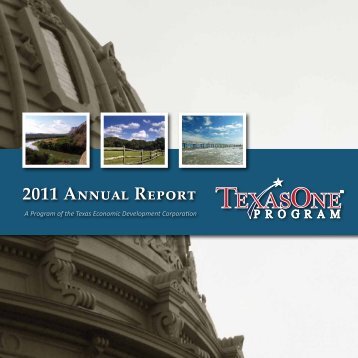 2011 Annual Report - TexasOne Program