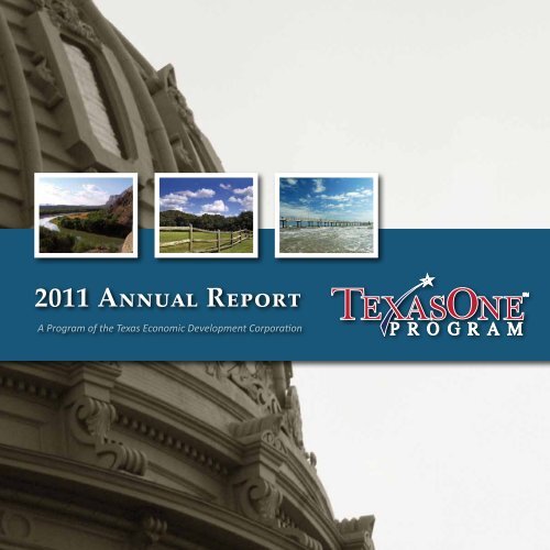 Texasone 2011 Annual Report - TexasOne Program