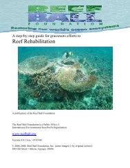 Step By Step Guide To Reef Rehabilitation - Reef Ball Foundation