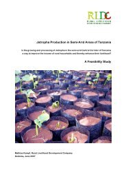 Jatropha Production in Semi-Arid Areas of Tanzania A Feasibility Study