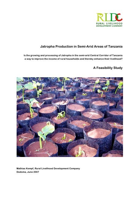 Jatropha Production in Semi-Arid Areas of Tanzania A Feasibility Study