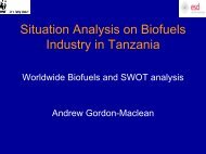 Situation Analysis on Biofuels Industry in Tanzania