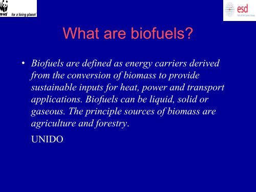 Situation Analysis on Biofuels Industry in Tanzania