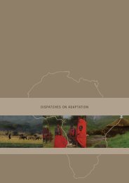 DISPATCHES ON ADAPTATION