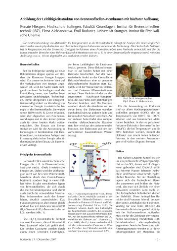 Abbildung der Leitfähigkeitsstruktur von Brennstoffzellen ...