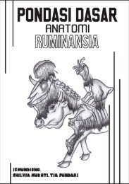 Anatomi Ruminansia.pdf