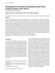 triradiate locomotion Triadobatrachus evidenced segmentation