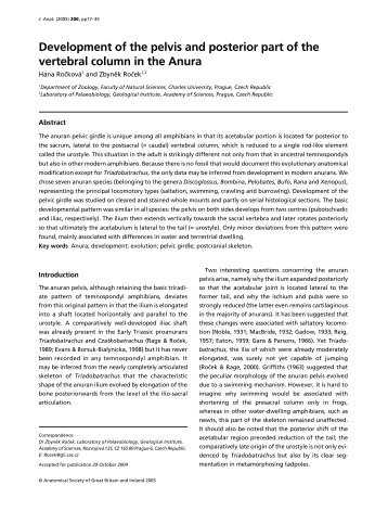 triradiate locomotion Triadobatrachus evidenced segmentation