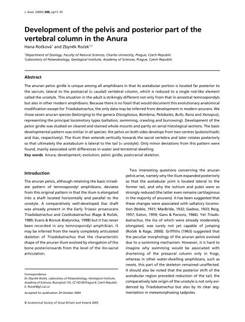 triradiate locomotion Triadobatrachus evidenced segmentation