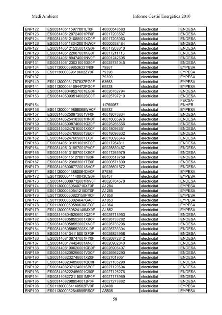 INFORME GESTIÓ ENERGÈTICA DEL 2010